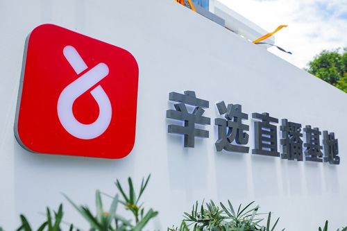 辛巴辛有志 以强大供应链体系构筑辛选护城河，赋能教育咨询服务新生态